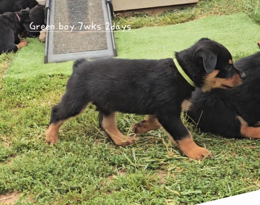 Click for Larger View