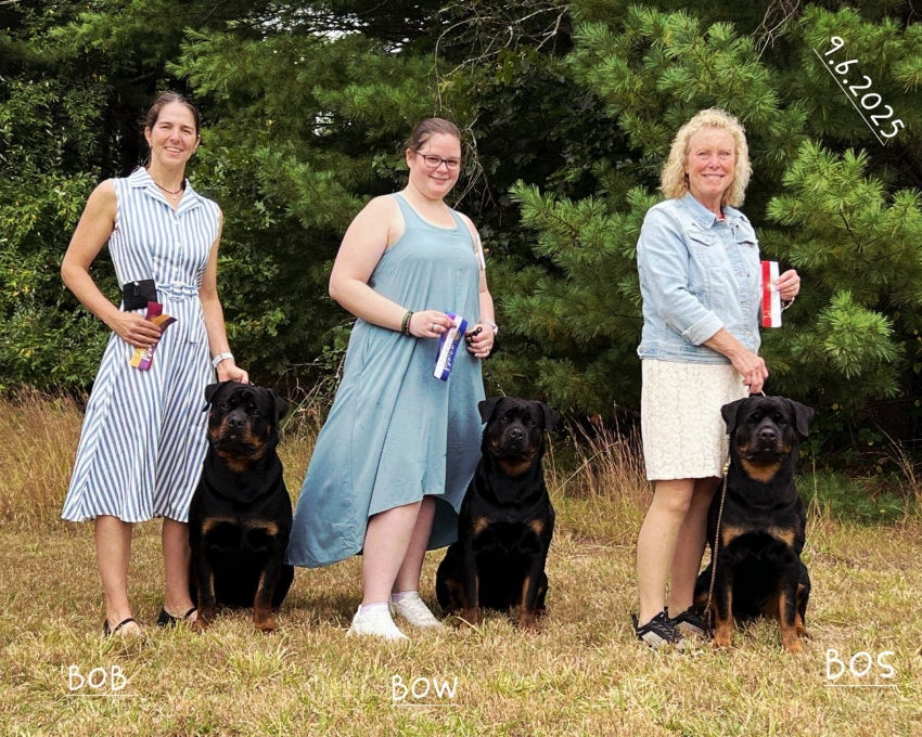Greta @ 3yrs - Click for Larger View