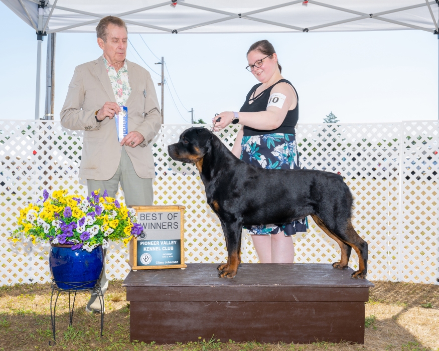 Greta @ 3yrs - Click for Larger View