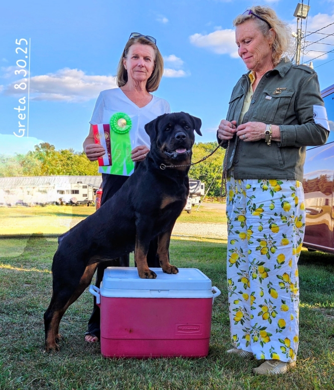 Greta @ 3yrs - Click for Larger View