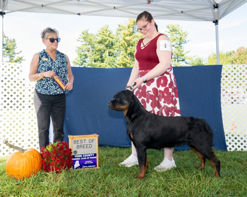 Click for Larger View