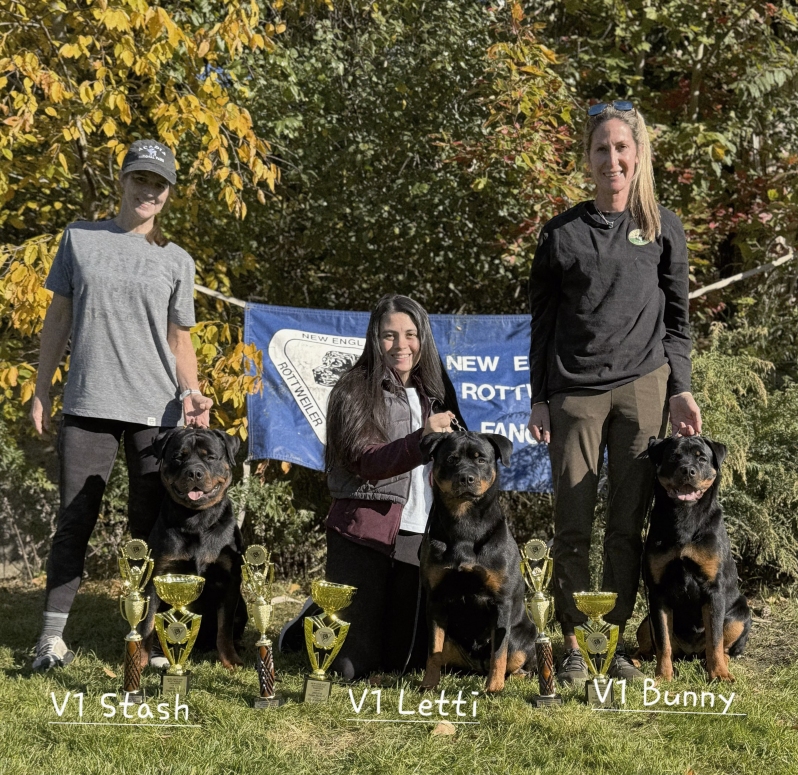 Click for Larger View