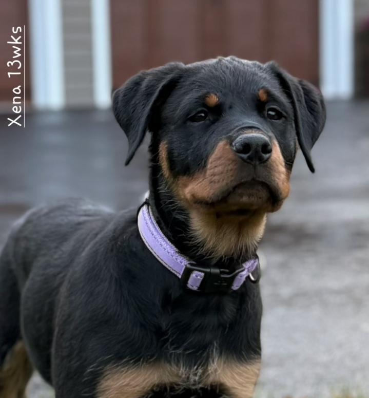 Click for Larger View