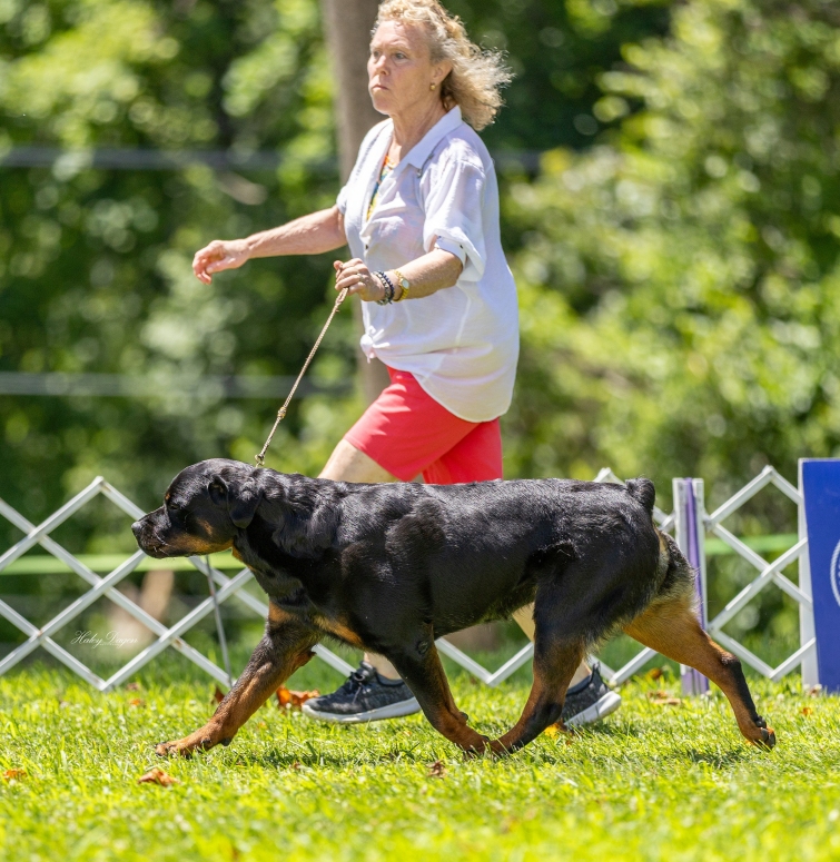 Greta BOB 6-15-25 - Click for Larger View