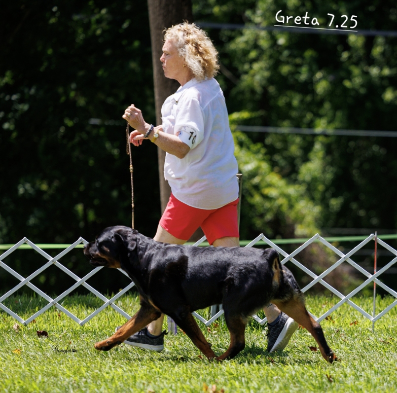 Greta BOB 6-15-25 - Click for Larger View