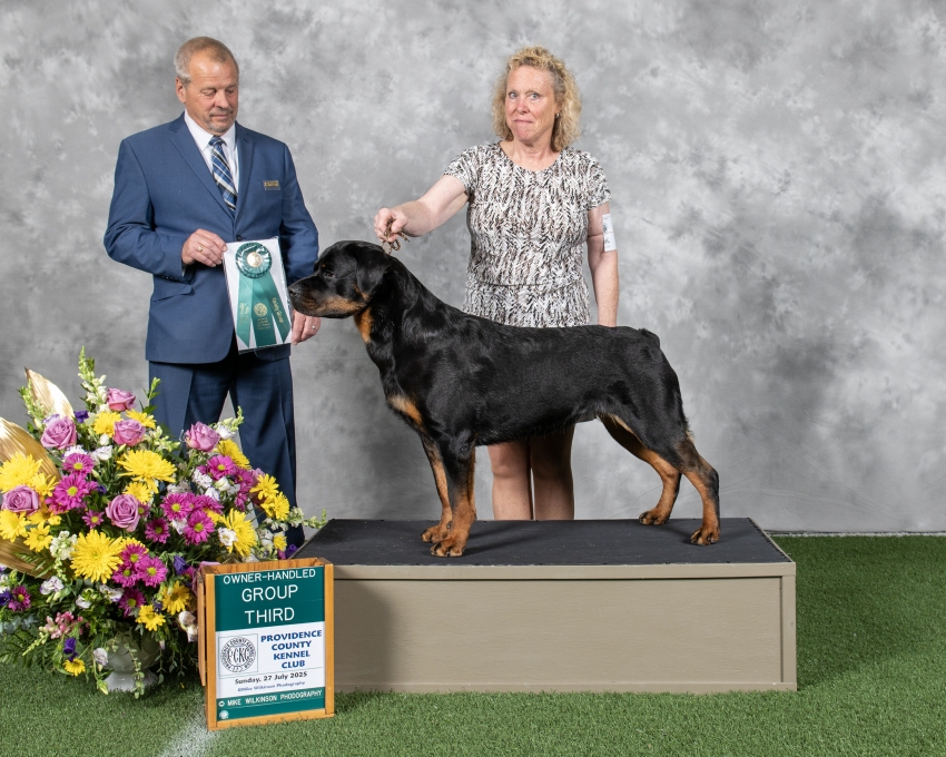 Greta @ 3yrs - Click for Larger View