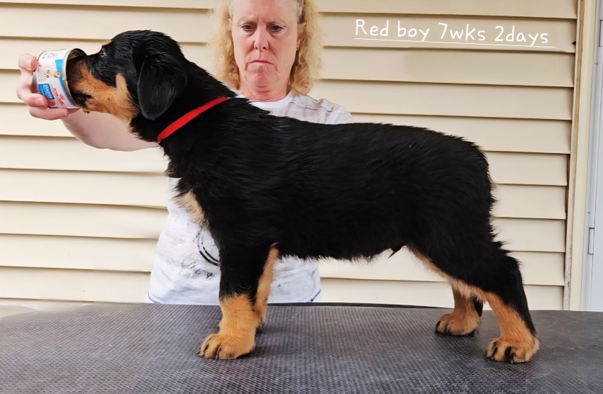 Click for Larger View