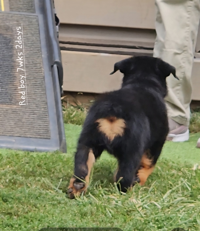 Click for Larger View