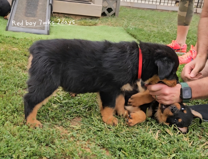 Click for Larger View