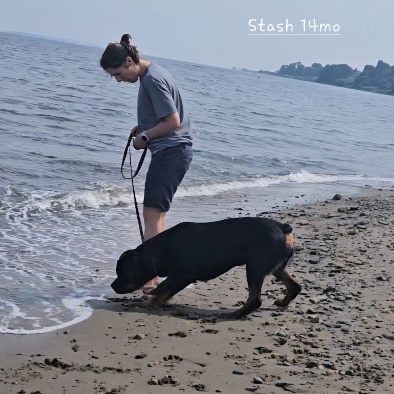 Greta @ 3yrs - Click for Larger View