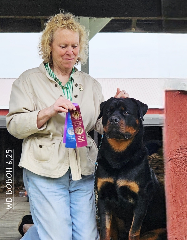 Stash - BOB OH - Click for Larger View