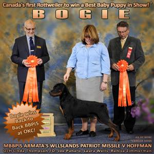 Bogie- Click for Larger View