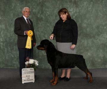 Bubba - Canadian Championship photo Feb 22 2014 - Click for Larger View