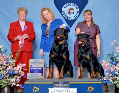 Rons 50th Birthday - Click for Larger View