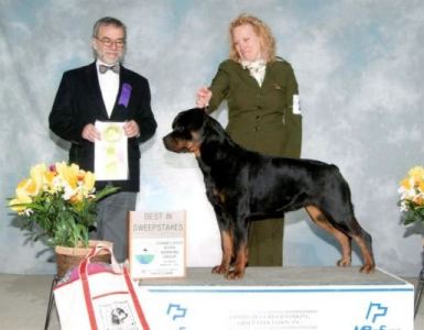 Coastie Best in Sweeps Ct River Working Grp - Click for Larger View