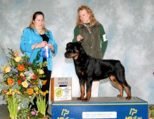 Coastie - Feb 2, 2014 - 1pt - Click for Larger View