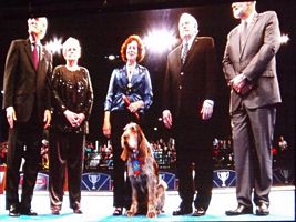 Drago on big screen 2013 - Click for Larger View