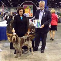 Drago with Award of Excellence ribbon 2013 - Click for Larger View