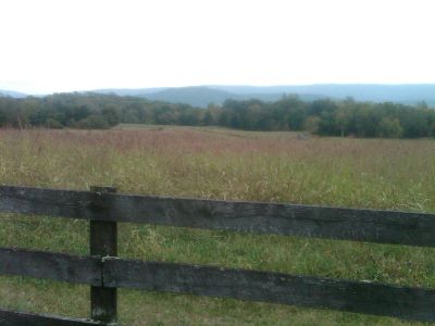 Fields of the Show Site