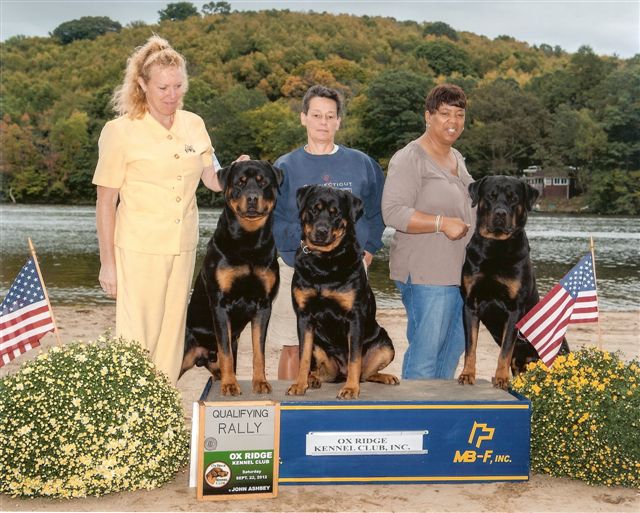 First Rally legs - Sept 2012