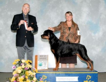 BOS Hartford 2014 - Click for Larger View