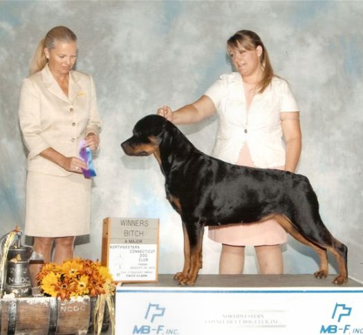 Indy 2nd major Aug 24 2012 2.5 yrs old