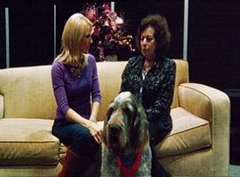 Lauren post ACE Award Interview 2013 - Click for Larger View