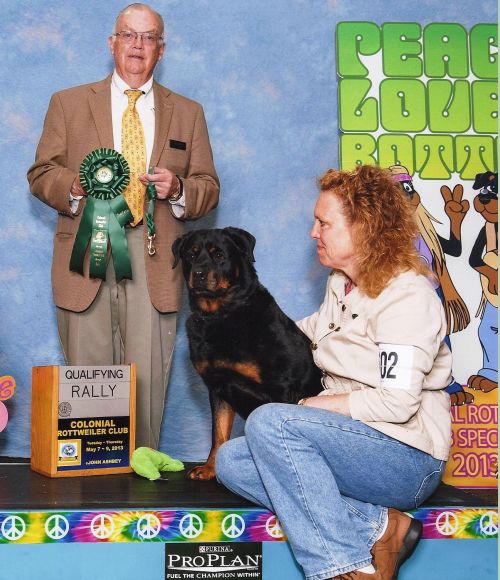 Mattie CRC 2013 2nd Rally Excellent Leg