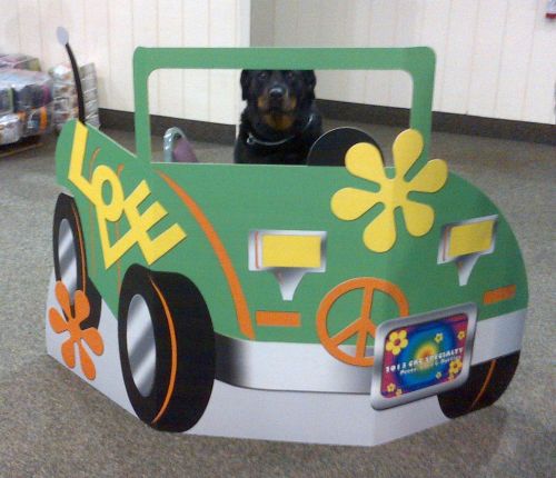 Mattie reporting from 2013 CRC lovebug