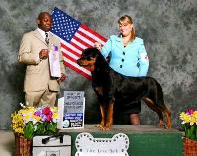 7.5yr old veteran at Ct River March 2014 - Click for Larger View