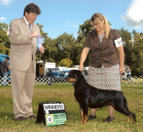 Mole 2nd major - 8/18/2012 Tioga KC