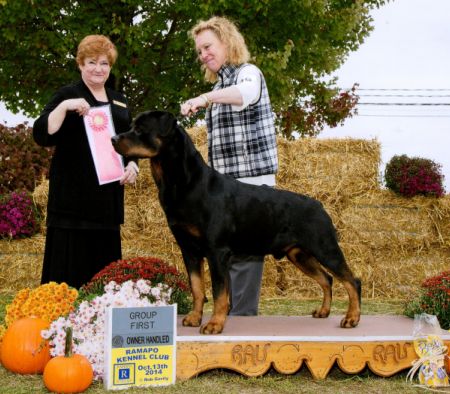 Bubba - Group 1 - Click for Larger View