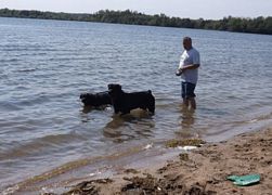 Playing in the river - Click for Larger View
