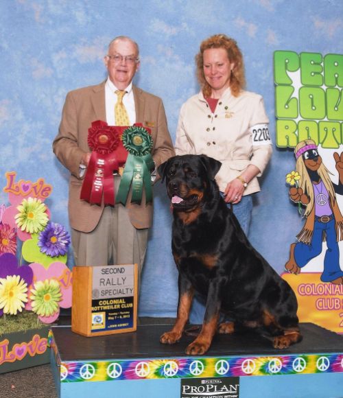 Second Rally leg Second place with a 100 score CRC 2013