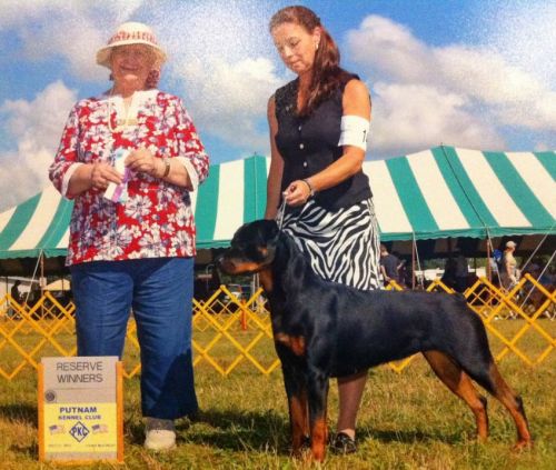 Sierra going Reserve