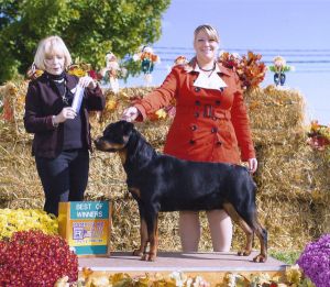 Onyx and Yvette Goshen Rally Advanced 2nd leg first place Sept 22,2013 - Click for Larger View
