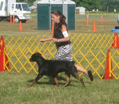 Sierra - Stormville 2012 @ 14 months