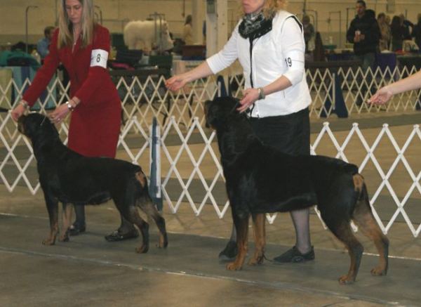 Steam WD / BOW Springfield Feb 5 2012