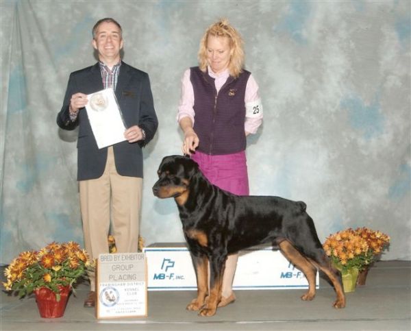 Steam BBE group 4 winter 2011