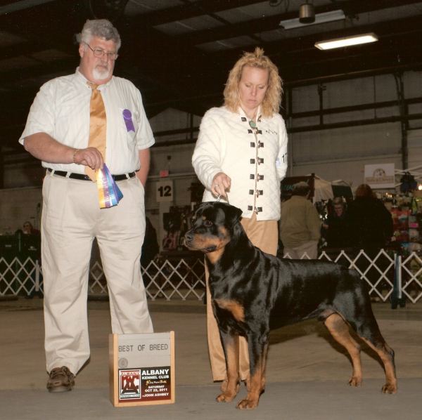 Wllslands Great Train Robbery V Hoffman