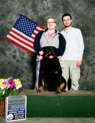 Tanner 8.5yrs Ct River Working Grp - Click for Larger View