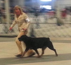 Tanner 8.5yrs Ct River Working Grp - Click for Larger View