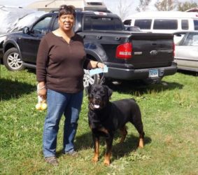 Yvette and Onyx Sept 22, 2013 Goshen first place Rally Advanced - Click for Larger View