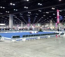 ring side view - Click for Larger View