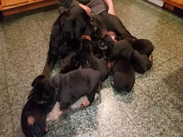 4-weeks-playing-with-mom