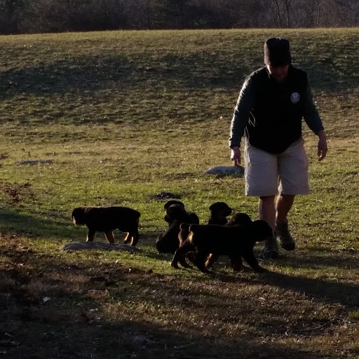 7 wks 5 days off in field