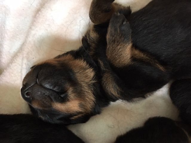 Black boy - Click for Larger View