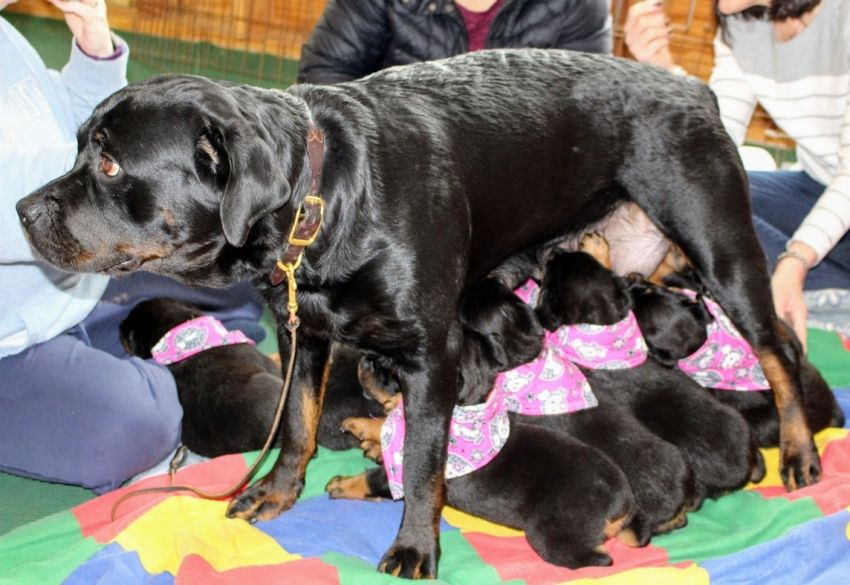 How much longer do I have to do this - Click for Larger View